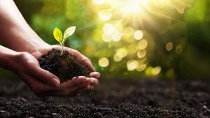 Rinnai-Geoflo-Hybrid-Geothermal-Heat-Pump-Lifestyle-Hand-plant-and-soil-scaled-1